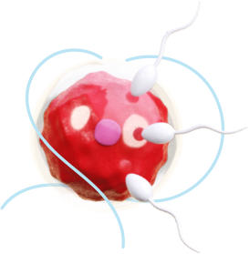 IVF UAE