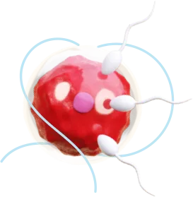 IVF UAE