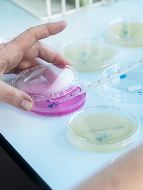 Genetic Testing Center Dubai