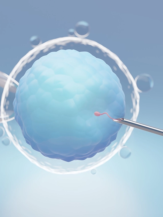 Female Fertility- bestivf